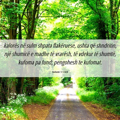 Picture 06 - Nahumi 3:3 ALB - kalorës në sulm shpata flakëruese, ushta që - Bible Verse Picture