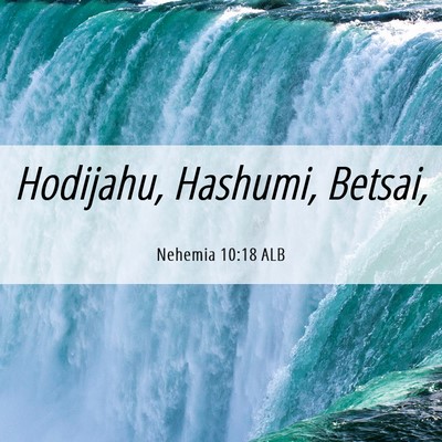Picture 06 - Nehemia 10:18 ALB - Hodijahu, Hashumi, - Bible Verse Picture