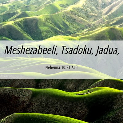 Picture 06 - Nehemia 10:21 ALB - Meshezabeeli, Tsadoku, - Bible Verse Picture