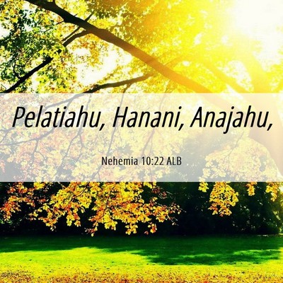 Picture 06 - Nehemia 10:22 ALB - Pelatiahu, Hanani, - Bible Verse Picture