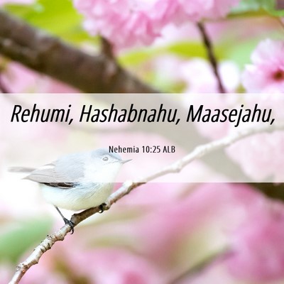 Picture 06 - Nehemia 10:25 ALB - Rehumi, Hashabnahu, - Bible Verse Picture
