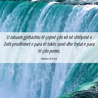 Picture 06 - Nehemia 10:35 ALB - U zotuam gjithashtu të çojmë çdo vit në - Bible Verse Picture