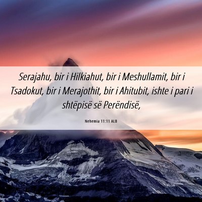Picture 06 - Nehemia 11:11 ALB - Serajahu, bir i Hilkiahut, bir i Meshullamit, bir - Bible Verse Picture