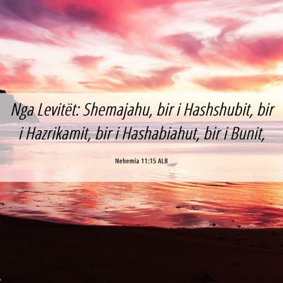 Picture 06 - Nehemia 11:15 ALB - Nga Levitët: Shemajahu, bir i Hashshubit, bir i - Bible Verse Picture