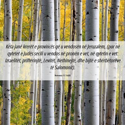 Picture 06 - Nehemia 11:3 ALB - Këta janë krerët e provincës që u vendosën - Bible Verse Picture