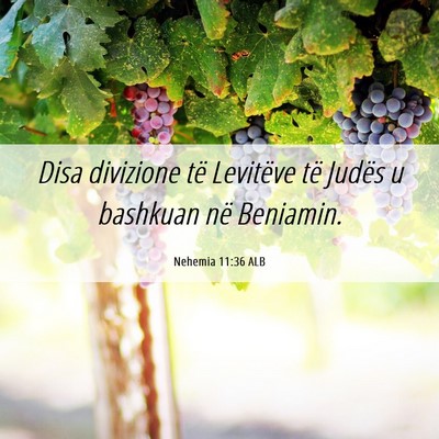 Picture 06 - Nehemia 11:36 ALB - Disa divizione të Levitëve të Judës u - Bible Verse Picture