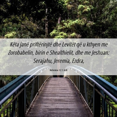 Picture 06 - Nehemia 12:1 ALB - Këta janë priftërinjtë dhe Levitët që u - Bible Verse Picture