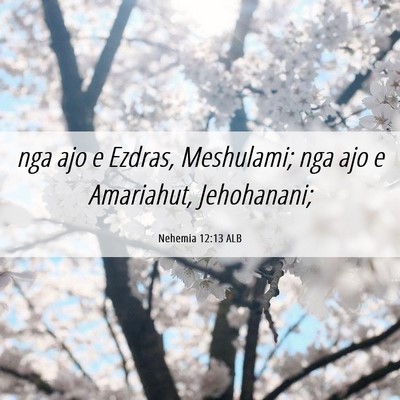 Picture 06 - Nehemia 12:13 ALB - nga ajo e Ezdras, Meshulami; nga ajo e Amariahut, - Bible Verse Picture