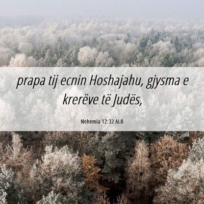 Picture 06 - Nehemia 12:32 ALB - prapa tij ecnin Hoshajahu, gjysma e krerëve të - Bible Verse Picture