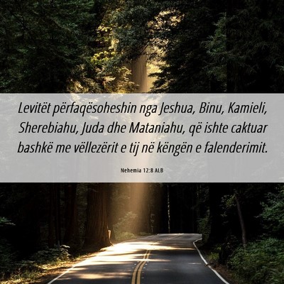 Picture 06 - Nehemia 12:8 ALB - Levitët përfaqësoheshin nga Jeshua, Binu, - Bible Verse Picture