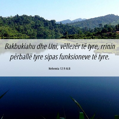 Picture 06 - Nehemia 12:9 ALB - Bakbukiahu dhe Uni, vëllezër të tyre, rrinin - Bible Verse Picture