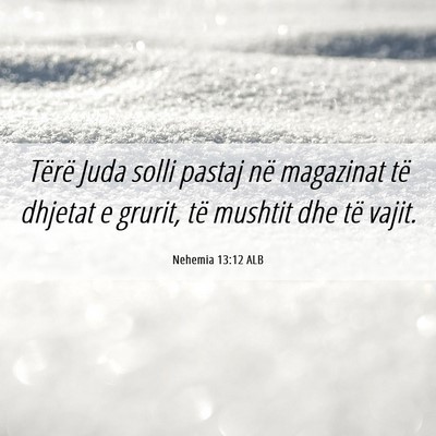 Picture 06 - Nehemia 13:12 ALB - Tërë Juda solli pastaj në magazinat të - Bible Verse Picture