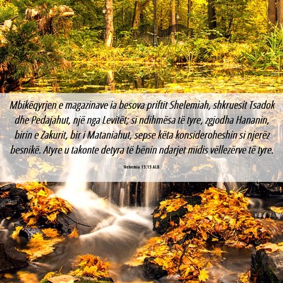 Picture 06 - Nehemia 13:13 ALB - Mbikëqyrjen e magazinave ia besova priftit - Bible Verse Picture