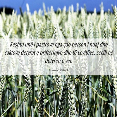 Picture 06 - Nehemia 13:30 ALB - Kështu unë i pastrova nga çdo person i huaj - Bible Verse Picture