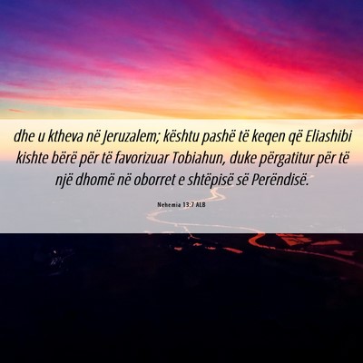 Picture 06 - Nehemia 13:7 ALB - dhe u ktheva në Jeruzalem; kështu pashë të - Bible Verse Picture