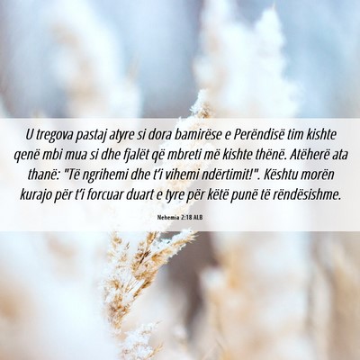 Picture 06 - Nehemia 2:18 ALB - U tregova pastaj atyre si dora bamirëse e - Bible Verse Picture