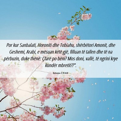 Picture 06 - Nehemia 2:19 ALB - Por kur Sanbalati, Horoniti dhe Tobiahu, - Bible Verse Picture
