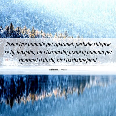 Picture 06 - Nehemia 3:10 ALB - Pranë tyre punonte për riparimet, përballë - Bible Verse Picture