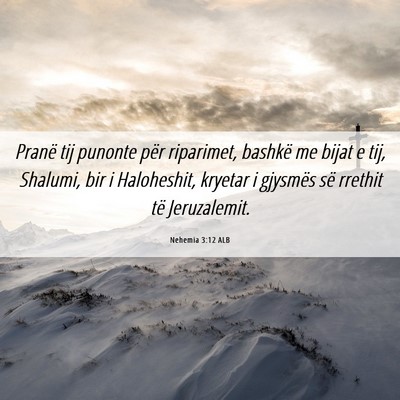 Picture 06 - Nehemia 3:12 ALB - Pranë tij punonte për riparimet, bashkë me - Bible Verse Picture