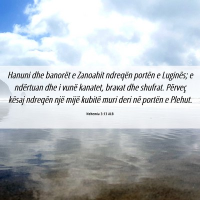 Picture 06 - Nehemia 3:13 ALB - Hanuni dhe banorët e Zanoahit ndreqën portën e - Bible Verse Picture