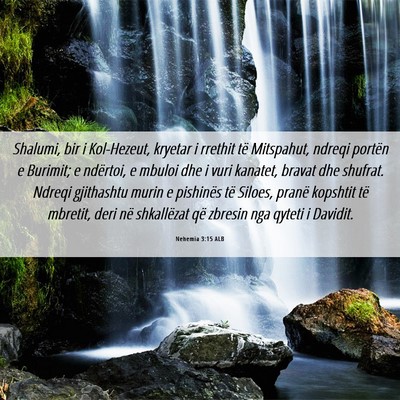 Picture 06 - Nehemia 3:15 ALB - Shalumi, bir i Kol-Hezeut, kryetar i rrethit të - Bible Verse Picture