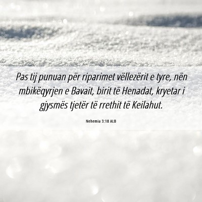 Picture 06 - Nehemia 3:18 ALB - Pas tij punuan për riparimet vëllezërit e - Bible Verse Picture
