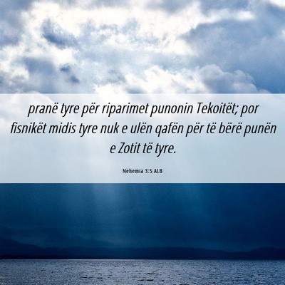 Picture 06 - Nehemia 3:5 ALB - pranë tyre për riparimet punonin Tekoitët; por - Bible Verse Picture