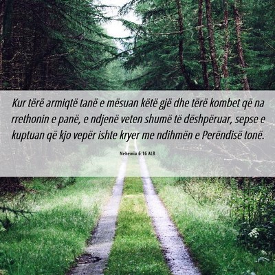 Picture 06 - Nehemia 6:16 ALB - Kur tërë armiqtë tanë e mësuan këtë gjë - Bible Verse Picture