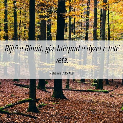 Picture 06 - Nehemia 7:15 ALB - Bijtë e Binuit, gjashtëqind e dyzet e tetë - Bible Verse Picture