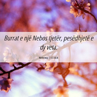 Picture 06 - Nehemia 7:33 ALB - Burrat e një Nebos tjetër, pesëdhjetë e dy - Bible Verse Picture