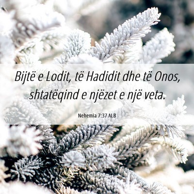 Picture 06 - Nehemia 7:37 ALB - Bijtë e Lodit, të Hadidit dhe të Onos, - Bible Verse Picture