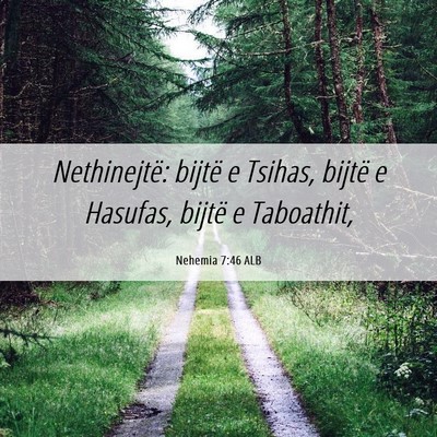 Picture 06 - Nehemia 7:46 ALB - Nethinejtë: bijtë e Tsihas, bijtë e Hasufas, - Bible Verse Picture
