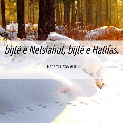 Picture 06 - Nehemia 7:56 ALB - bijtë e Netsiahut, bijtë e - Bible Verse Picture