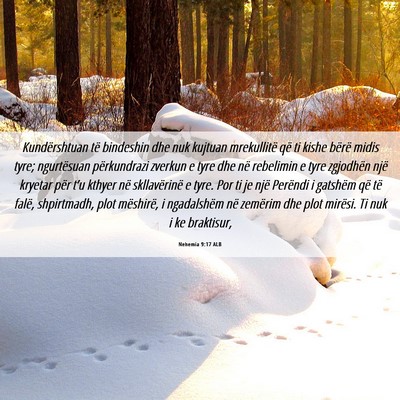 Picture 06 - Nehemia 9:17 ALB - Kundërshtuan të bindeshin dhe nuk kujtuan - Bible Verse Picture