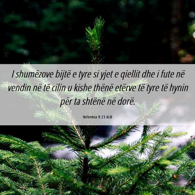 Picture 06 - Nehemia 9:23 ALB - I shumëzove bijtë e tyre si yjet e qiellit dhe - Bible Verse Picture