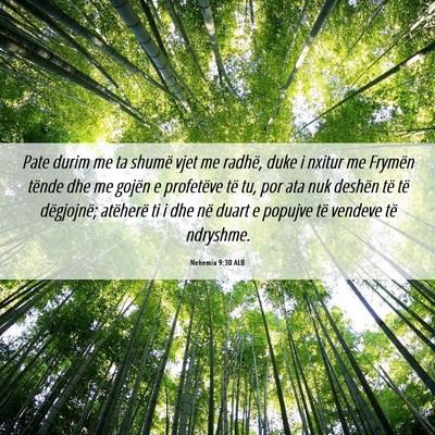 Picture 06 - Nehemia 9:30 ALB - Pate durim me ta shumë vjet me radhë, duke i - Bible Verse Picture