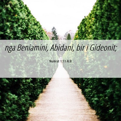 Picture 06 - Numrat 1:11 ALB - nga Beniamini, Abidani, bir i - Bible Verse Picture