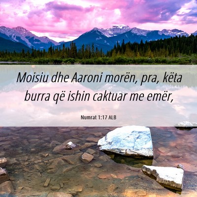 Picture 06 - Numrat 1:17 ALB - Moisiu dhe Aaroni morën, pra, këta burra që - Bible Verse Picture