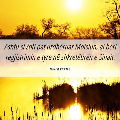Picture 06 - Numrat 1:19 ALB - Ashtu si Zoti pat urdhëruar Moisiun, ai bëri - Bible Verse Picture