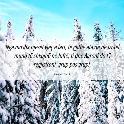 Picture 06 - Numrat 1:3 ALB - Nga mosha njëzet vjeç e lart, të gjithë ata - Bible Verse Picture