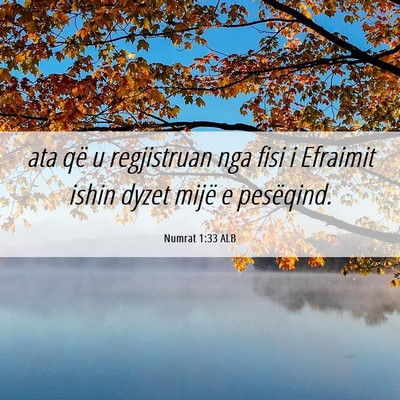 Picture 06 - Numrat 1:33 ALB - ata që u regjistruan nga fisi i Efraimit ishin - Bible Verse Picture
