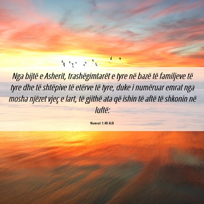 Picture 06 - Numrat 1:40 ALB - Nga bijtë e Asherit, trashëgimtarët e tyre në - Bible Verse Picture