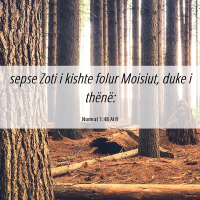 Picture 06 - Numrat 1:48 ALB - sepse Zoti i kishte folur Moisiut, duke i - Bible Verse Picture
