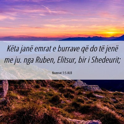Picture 06 - Numrat 1:5 ALB - Këta janë emrat e burrave që do të jenë me - Bible Verse Picture