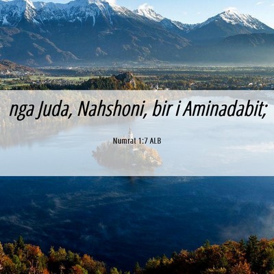 Picture 06 - Numrat 1:7 ALB - nga Juda, Nahshoni, bir i - Bible Verse Picture