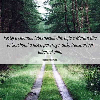 Picture 06 - Numrat 10:17 ALB - Pastaj u çmontua tabernakulli dhe bijtë e - Bible Verse Picture