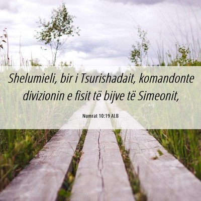 Picture 06 - Numrat 10:19 ALB - Shelumieli, bir i Tsurishadait, komandonte - Bible Verse Picture