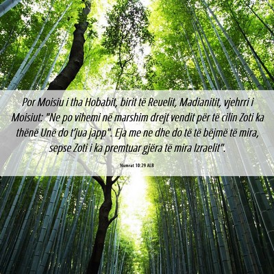 Picture 06 - Numrat 10:29 ALB - Por Moisiu i tha Hobabit, birit të Reuelit, - Bible Verse Picture