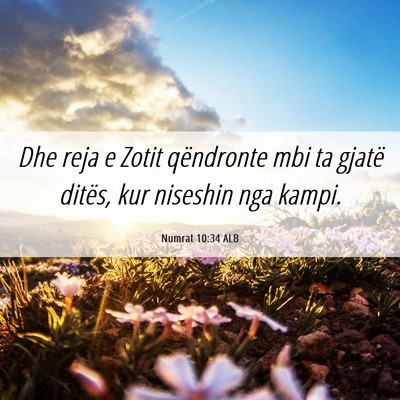 Picture 06 - Numrat 10:34 ALB - Dhe reja e Zotit qëndronte mbi ta gjatë ditës, - Bible Verse Picture