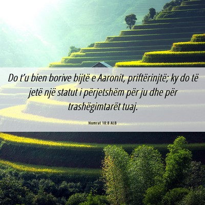 Picture 06 - Numrat 10:8 ALB - Do t’u bien borive bijtë e Aaronit, - Bible Verse Picture